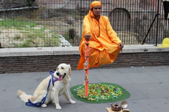 10325614_838977069447189_1341101139150848020_n