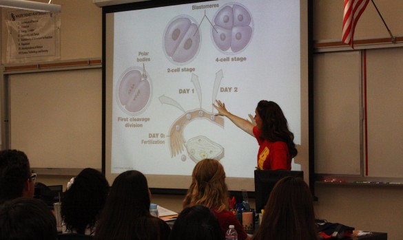 Physiology teacher Lehua Werdel, teaching the new science course. Photo by Anisah Ullah.
