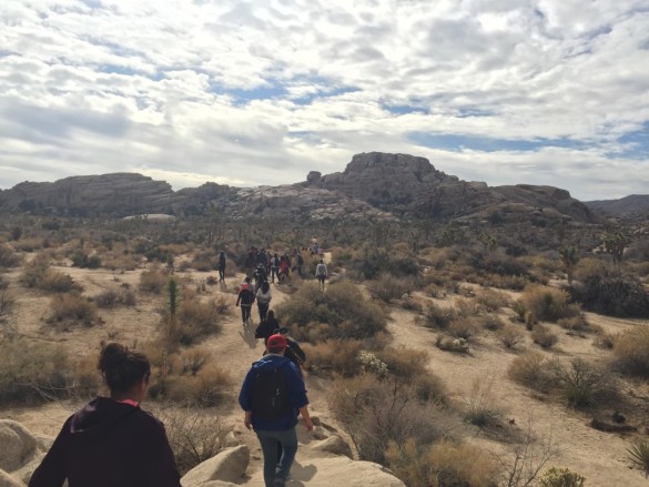 Students hike through Joshua Tree National Park. Photo by Anisah Ullah 
