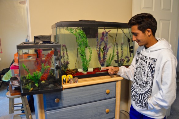 Marc Tadros ('18) shows us his vast collection of fish. Photo by Christine Cao