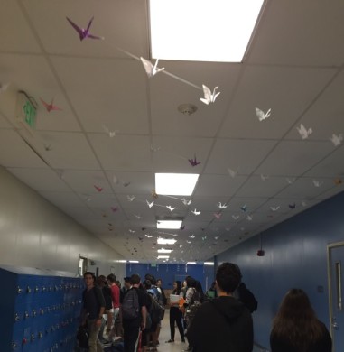 The paper cranes made of used paper collected from teachers overlook the Fountain Valley High School students heading to their next classes during passing period. Photo by Aozora Ito 