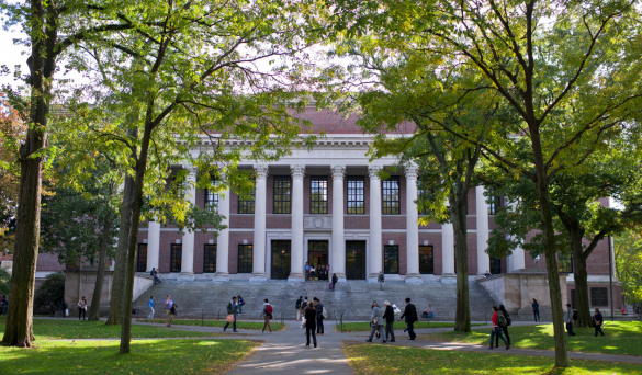 (by Moe Homayounieh via Creative Commons)