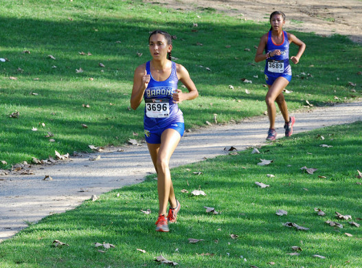 29218800864_f90a9a5f97_c