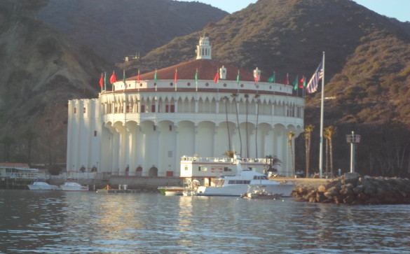 Catalina Island. Photo by Isabella Purdy.