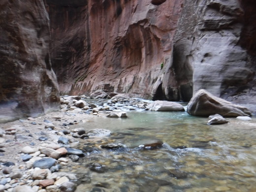 The Narrows at Zion National Park in Utah is a unique hike that goes straight through Zion Canyon. Photo by Isabella Purdy