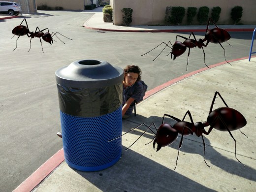 Cameron Nakashima ('18), hiding from the ants terrorizing FVHS behind a trashcan. 